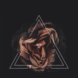 Meet your Posher, Hoang